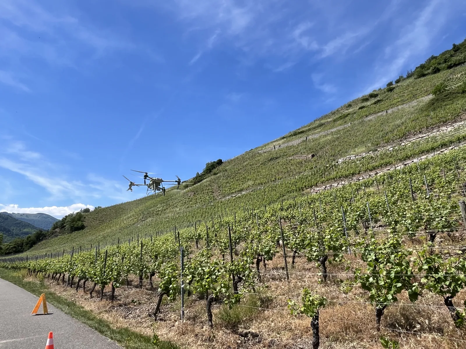 Drone de pulvérisation en vol au-dessus d'un coteau de vigne en forte pente, cônes de balisage au bord du chemin